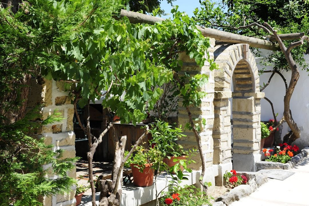 Stone archway entrance with lush green vines and flowering potted plants at the hotel's Mediterranean-style courtyard.