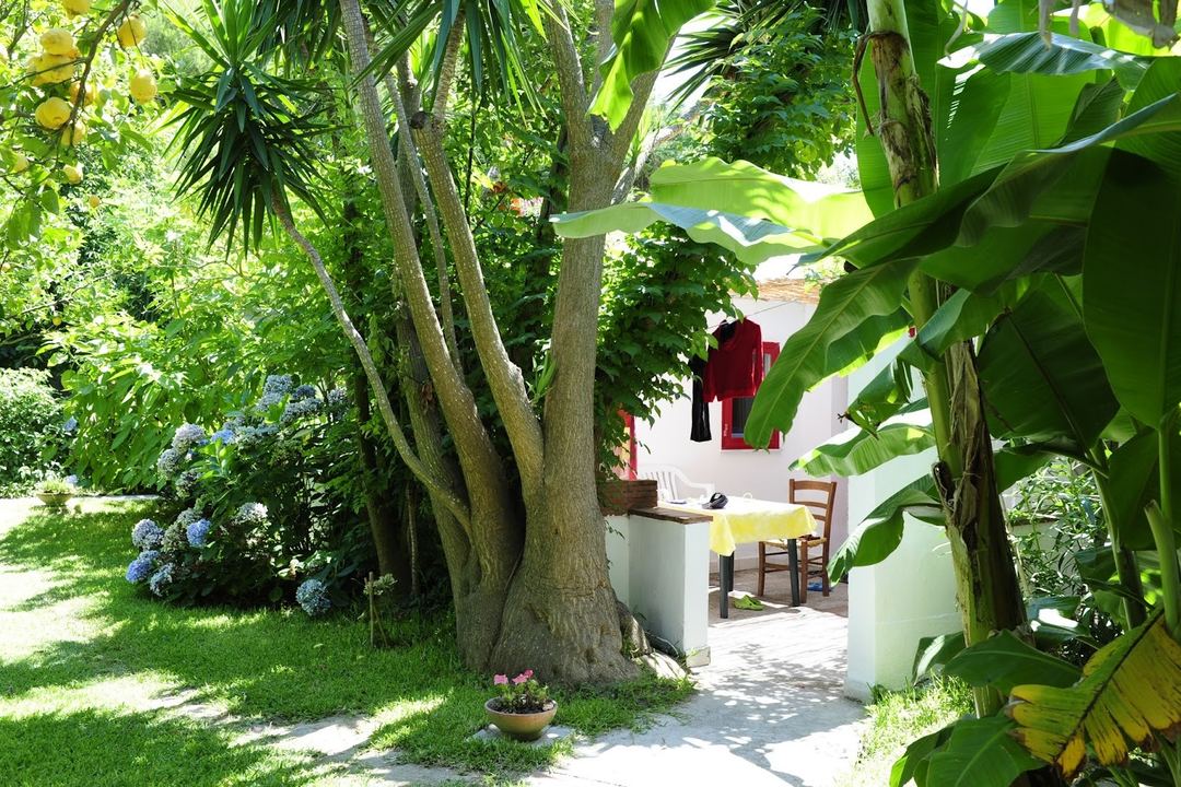 A lush garden pathway framed by mature trees and tropical vegetation leads to a white-walled building with blue shutters and a terracotta-tiled courtyard.